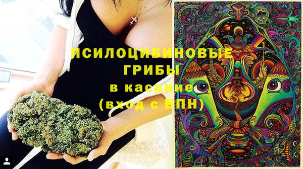 амф Алексеевка